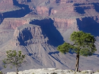49896CrEx - Out to Hermit's Rest, Hermit's Rest Transfer, Grand Canyon.jpg